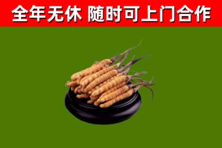 十堰市烟酒回收冬虫夏草.jpg